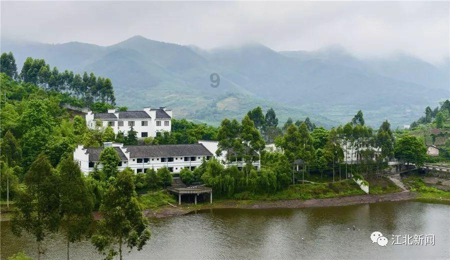 救出被困的老鼠